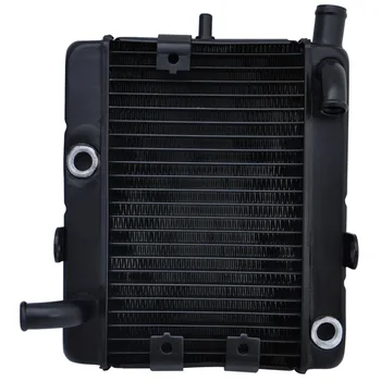 For YAMAHA YP250 MAJESTY250 2000-2004 YP 250 Motorcycle Engine Radiator Aluminium Replace Cooling Cooler
For YAMAHA YP250 MAJESTY250 2000-2004 YP 250 Motorcycle Engine Radiator Aluminium Replace Cooling Cooler