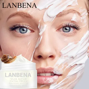 LANBENA Snail Cream Whitening-Cream Moisturizing Deep Repairing Skin Care Remove Acne Spots Wrinkles Anti-Aging Hyaluronic Acid
LANBENA Snail Cream Whitening-Cream Moisturizing Deep Repairing Skin Care Remove Acne Spots Wrinkles Anti-Aging Hyaluronic Acid