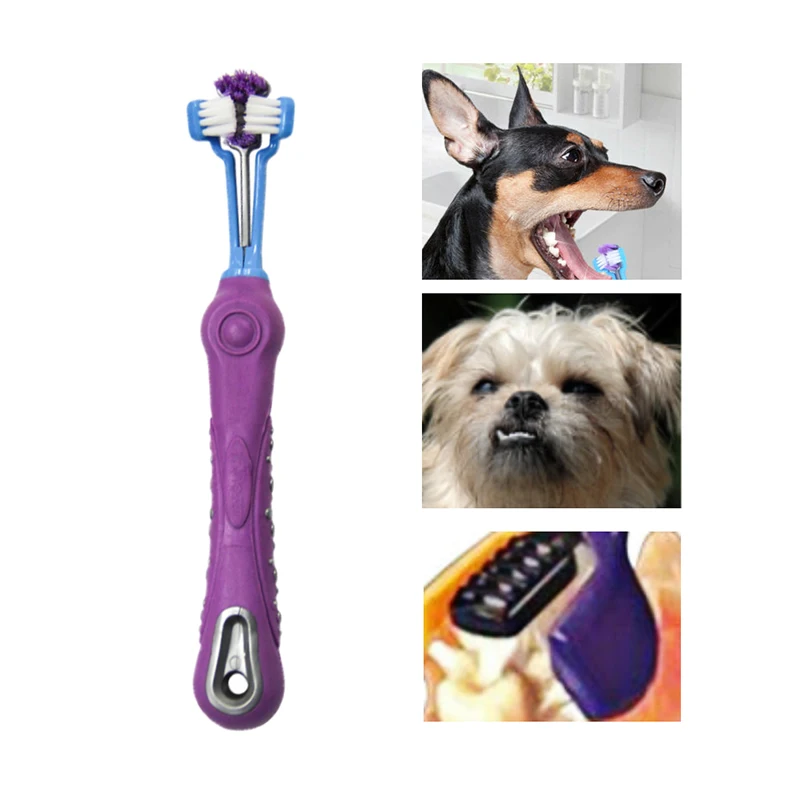 1Pc Pet Dog Toothbrush Multi-angle Cleaning Tooth Bad Breath Tartar Teeth Care Tool Brush for Dog Cat Protection Health Supplies
1Pc Pet Dog Toothbrush Multi-angle Cleaning Tooth Bad Breath Tartar Teeth Care Tool Brush for Dog Cat Protection Health Supplies