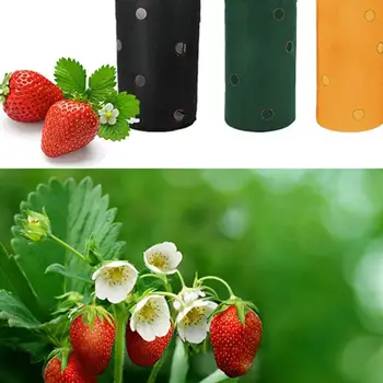 Non-Woven Flower Planting Bag Multi-Port Container Bag Practical Creative Hanging Balcony Spring Sweet Potato
Non-Woven Flower Planting Bag Multi-Port Container Bag Practical Creative Hanging Balcony Spring Sweet Potato