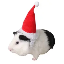 Маленькие животные Домашние шапка Санта Клауса Кролик Хомяк