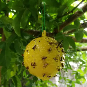 Fruit Fly Trap Hanging Fly Trap Ball Fruit Fly Catcher Outdoor Disposable Wasp Bee Insect Month Mosquito Killer Repellent Traps
Fruit Fly Trap Hanging Fly Trap Ball Fruit Fly Catcher Outdoor Disposable Wasp Bee Insect Month Mosquito Killer Repellent Traps