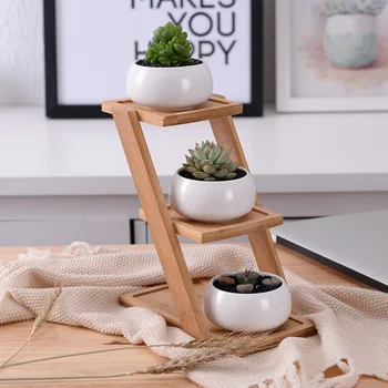 Creative White Succulent Plant Flower Pot set Holder Ceramic Decorative oblate Flower Pot & Three-layer Bamboo Shelf Pot Set
Creative White Succulent Plant Flower Pot set Holder Ceramic Decorative oblate Flower Pot & Three-layer Bamboo Shelf Pot Set