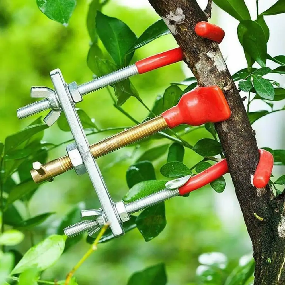 Pruner Bender Bonsai DIY Modeling Tool Twig Trunk Adjuster Small Bender Curved Device
Pruner Bender Bonsai DIY Modeling Tool Twig Trunk Adjuster Small Bender Curved Device