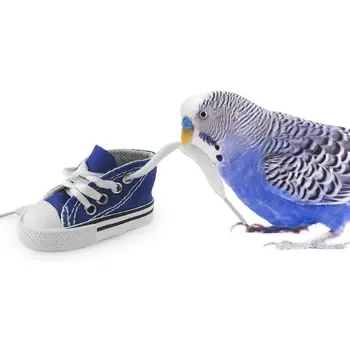7Pcs Bird Training Toys Mini Sneaker Skateboard Stacking Training Ring Bell Ball D08F 
7Pcs Bird Training Toys Mini Sneaker Skateboard Stacking Training Ring Bell Ball D08F