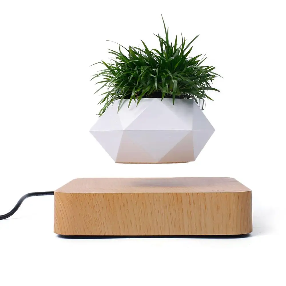Magnetic Floating Potted Rotation Flower Pot Planters Magnetic Suspension Floating Pot Potted Plant Desk Decor Home Potted
Magnetic Floating Potted Rotation Flower Pot Planters Magnetic Suspension Floating Pot Potted Plant Desk Decor Home Potted