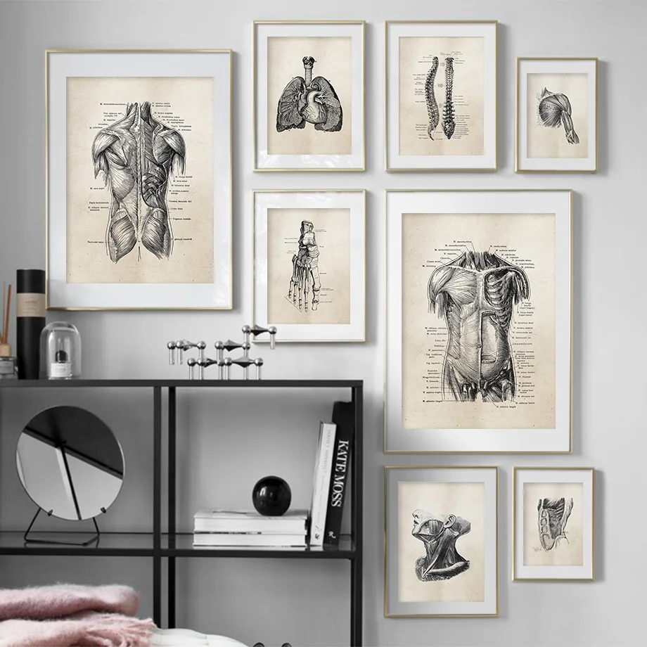 Anatomy skeleton Patent Vintage Poster Wall Art Print Canvas Painting Nordic Posters And Prints Wall Pictures For Living Room
Anatomy skeleton Patent Vintage Poster Wall Art Print Canvas Painting Nordic Posters And Prints Wall Pictures For Living Room
