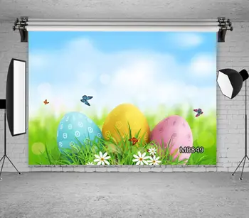 Easter Egg Green Grass Flower Butterfly Backdrop Spring Background For Photography Polyester Vinyl Photo Background Studio Props
Easter Egg Green Grass Flower Butterfly Backdrop Spring Background For Photography Polyester Vinyl Photo Background Studio Props