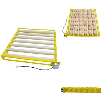 Roller Egg Tray High Quality Incubator Accessories Durable Rotary Automatic Roller Pattern Turner Tray
Roller Egg Tray High Quality Incubator Accessories Durable Rotary Automatic Roller Pattern Turner Tray
