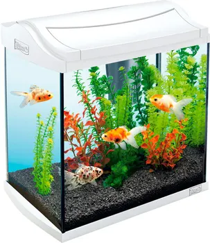 Aquarium TETRA TETRA AQUAART DISCOVER LINE, 30 liters, white, 38 x 26 x 42 cm 
Aquarium TETRA TETRA AQUAART DISCOVER LINE, 30 liters, white, 38 x 26 x 42 cm