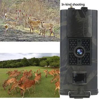 Trail Camera Portable Multifunctional 16MP 1080p HD Cam Hunting Camera Night Vision Animal IR Hunting Camera
Trail Camera Portable Multifunctional 16MP 1080p HD Cam Hunting Camera Night Vision Animal IR Hunting Camera