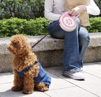 5M Hight Quality Non-slip Retractable Dog Leash Training Puppy Automatic Extending Rope Walking Leashes Adjustable Dog Collar
5M Hight Quality Non-slip Retractable Dog Leash Training Puppy Automatic Extending Rope Walking Leashes Adjustable Dog Collar