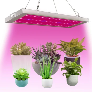 300W 54 LED Grow Light Panel Lamp Hydroponic Plant Growing Full Spectrum Hydroponic Grow Light Led Grow Lamp Grow Lamp 
300W 54 LED Grow Light Panel Lamp Hydroponic Plant Growing Full Spectrum Hydroponic Grow Light Led Grow Lamp Grow Lamp