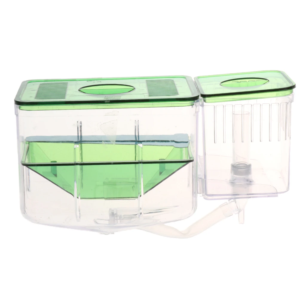 Aquarium Fish Breeder Box Hatchery Incubator, Large Plastic Fish Isolation Box for Clownfish Guppy Betta Eels Crab Fish Tank Aquarium Fish Breeder Box Hatchery Incubator, Large Plastic Fish Isolation Box for Clownfish Guppy Betta Eels Crab Fish Tank