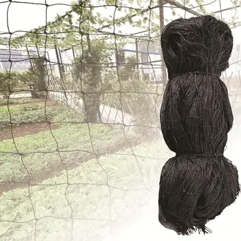 2 Inch Polyethylene Anti-Bird Net Sturdy Nylon Square Mesh Poultry Net Breeding Net Heavy Duty Bird Netting For Garden Supplies
2 Inch Polyethylene Anti-Bird Net Sturdy Nylon Square Mesh Poultry Net Breeding Net Heavy Duty Bird Netting For Garden Supplies