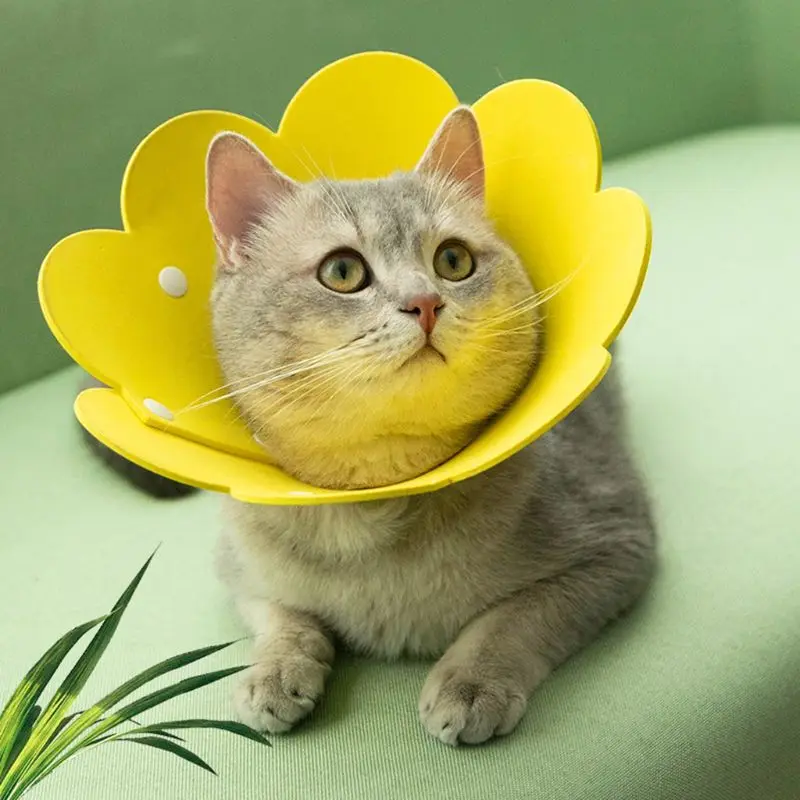 Flower Shaped Cat Recovery Collar Elizabethan Collar Wound Healing Protective Cone for Kitten Puppy Flower Shaped Cat Recovery Collar Elizabethan Collar Wound Healing Protective Cone for Kitten Puppy