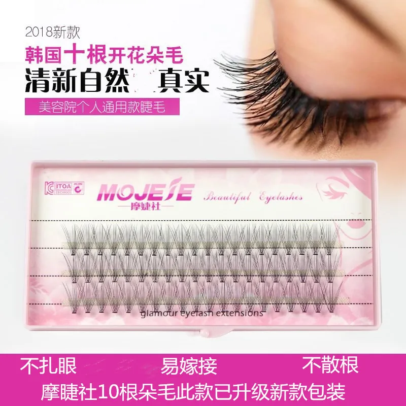 New Style Silk 10D Ten Flower Hair Mink Planting Flowering Grafting Planting False Eyelashes Soft Densely single lashes
New Style Silk 10D Ten Flower Hair Mink Planting Flowering Grafting Planting False Eyelashes Soft Densely single lashes