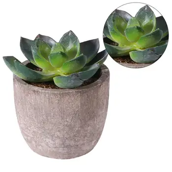 1PC Vintage Simulation Succulent Artificial Plant Bonsai Desktop Decoration Fake Potted Plant for Home Office Garden (Green)
1PC Vintage Simulation Succulent Artificial Plant Bonsai Desktop Decoration Fake Potted Plant for Home Office Garden (Green)