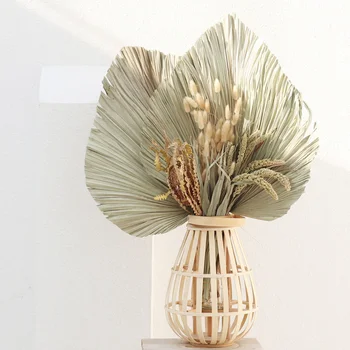Cheap dried Flowers palm Leaves green plants wedding DIY decoration arrangement plant leaf
Cheap dried Flowers palm Leaves green plants wedding DIY decoration arrangement plant leaf