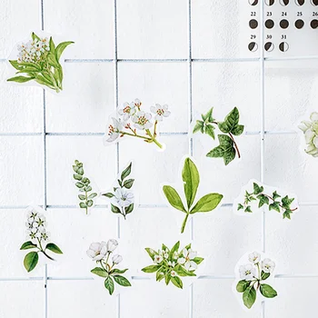 46PCS Cute Green Leaves Flowers Stickers Plants Decor Stationery Stickers Adhesive Sticker For Kids Scrapbooking Diary Supplies
46PCS Cute Green Leaves Flowers Stickers Plants Decor Stationery Stickers Adhesive Sticker For Kids Scrapbooking Diary Supplies