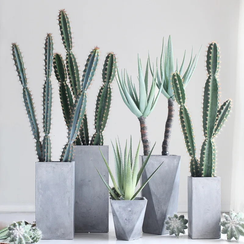 Sicily Scandinavian Minimalist Cement Large Flower Pot Office Shop Floor Plant Collocation Flower Holder Villa Courtyard
Sicily Scandinavian Minimalist Cement Large Flower Pot Office Shop Floor Plant Collocation Flower Holder Villa Courtyard