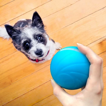 Wicked ball New products Best sale in Amazon Durable Pet Interactive Chew Toys Set Dog And Cat Toy
Wicked ball New products Best sale in Amazon Durable Pet Interactive Chew Toys Set Dog And Cat Toy