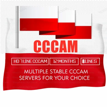 Special for Poland Europe 8 lines HD AV Cable for Satellite Receiver Cccam lines of 2 year DVB-S2 Europe clines for Free Sat V8 
Special for Poland Europe 8 lines HD AV Cable for Satellite Receiver Cccam lines of 2 year DVB-S2 Europe clines for Free Sat V8