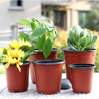 100PCS Plant Flower Pots Plastic Starting Two-Tone Universal Soft Flowers Nursery Seeds Storage Pot Container Garden Decoration
100PCS Plant Flower Pots Plastic Starting Two-Tone Universal Soft Flowers Nursery Seeds Storage Pot Container Garden Decoration