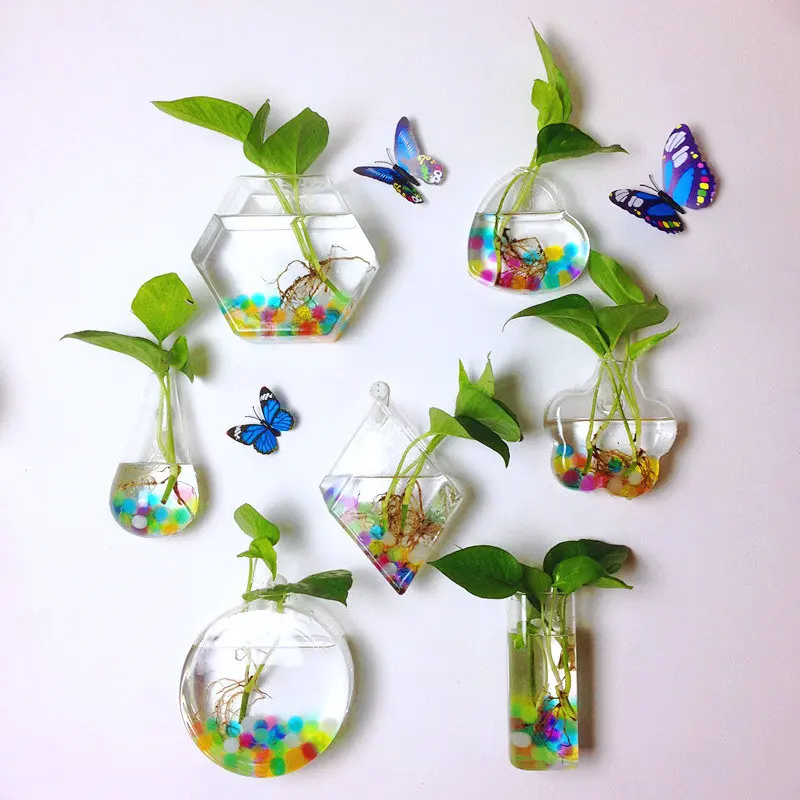 Hanging Wall Hanging Epipremnum Aureum Grow in Water Vase Creative Wall Decorative Glass Bottle Transparent Wall-Mounted Vase
Hanging Wall Hanging Epipremnum Aureum Grow in Water Vase Creative Wall Decorative Glass Bottle Transparent Wall-Mounted Vase