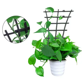 10pcs Plant Climbing Bracket Flower Cucumber Plants Landing Frame Support Mesh Vine Trellis Netting Net Plant Net Flower Stand
10pcs Plant Climbing Bracket Flower Cucumber Plants Landing Frame Support Mesh Vine Trellis Netting Net Plant Net Flower Stand