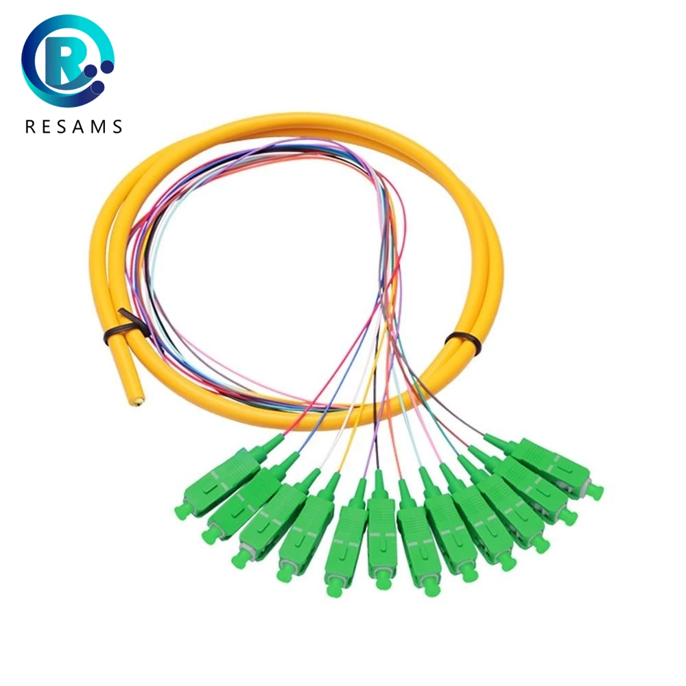 Resams 12 Core SC APC Transmission Stability Low Insertion Loss Professional Manufacturer Branch Fiber Optic Patch Cord
Resams 12 Core SC APC Transmission Stability Low Insertion Loss Professional Manufacturer Branch Fiber Optic Patch Cord