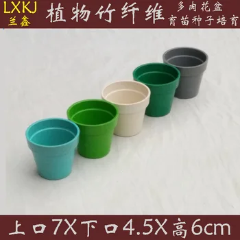 International Succulent Flowerpot Thick Mini Korean Style Multi-color Meat Small Pots Nursery Basin
International Succulent Flowerpot Thick Mini Korean Style Multi-color Meat Small Pots Nursery Basin