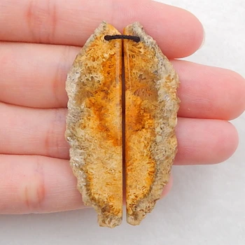 Natural Indonesian Fossil Coral fashion Semi-precious stones, Jewelry accessories women Earring Bead,50x14x4mm,8.9g
Natural Indonesian Fossil Coral fashion Semi-precious stones, Jewelry accessories women Earring Bead,50x14x4mm,8.9g