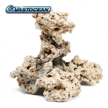 Vastocean Indonesia Java Dry Rock Stone for Aquarium Aquascaping
Vastocean Indonesia Java Dry Rock Stone for Aquarium Aquascaping