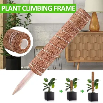 12'' Coir Totem Pole Garden Creeper Plant Support Climbing Extension Stick Support Extension Climbing Indoor Garden Plants
12'' Coir Totem Pole Garden Creeper Plant Support Climbing Extension Stick Support Extension Climbing Indoor Garden Plants