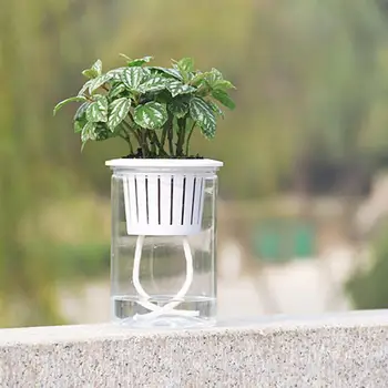 5PCS/Set Automatic Water Absorption Flower Pot Round Plastic Hydroponic Plant Pot Innovative Resin Succulent Flower Pots
5PCS/Set Automatic Water Absorption Flower Pot Round Plastic Hydroponic Plant Pot Innovative Resin Succulent Flower Pots