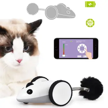 Cat Funny Electric Mouse Racer Automatic Irregular Moving 360°Rotation Interactive App Control USB Charging Pet Toys
Cat Funny Electric Mouse Racer Automatic Irregular Moving 360°Rotation Interactive App Control USB Charging Pet Toys