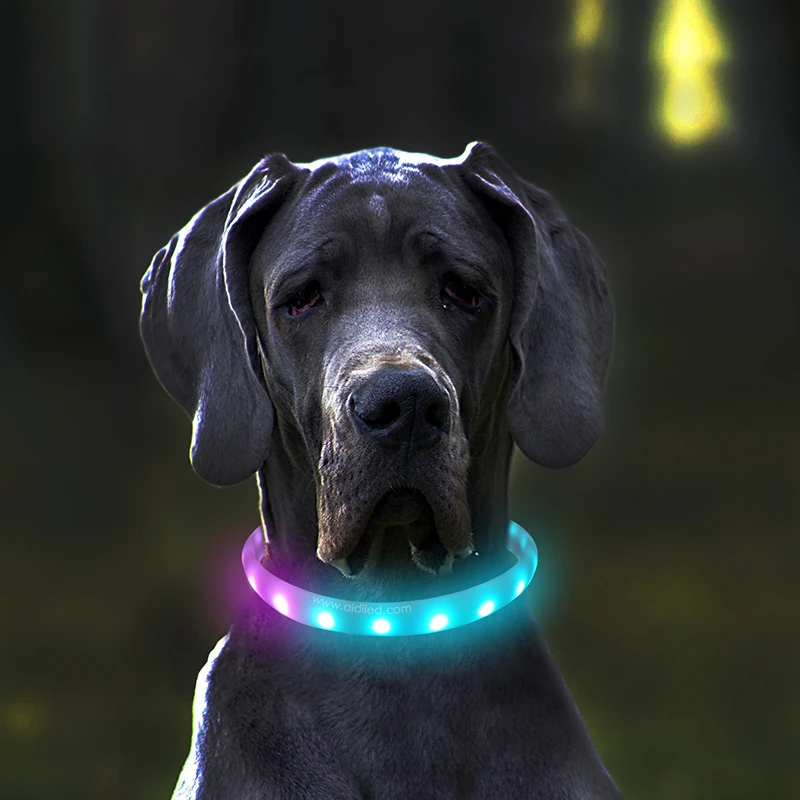 USB Charging Led Dog Collar Colorful multi functional luminous Dog/cat collar 9 blinking modes Silica gel Dog Collar perro
USB Charging Led Dog Collar Colorful multi functional luminous Dog/cat collar 9 blinking modes Silica gel Dog Collar perro