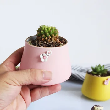 Potters Japanese Style Small Fresh Multi-meat Flower Pots Ceramic Sticky Flower Pots Lovely Ceramic Flower Pots Succulent Plant
Potters Japanese Style Small Fresh Multi-meat Flower Pots Ceramic Sticky Flower Pots Lovely Ceramic Flower Pots Succulent Plant
