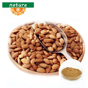 Natural Bitter Apricot Seed extract powder,99%Amygdalin Vitamin B17 ,bitter almond kernel ,ku xing ren, Anti aging anti cancer
Natural Bitter Apricot Seed extract powder,99%Amygdalin Vitamin B17 ,bitter almond kernel ,ku xing ren, Anti aging anti cancer
