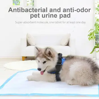 Non-Woven Pet Training Pads Puppy Pee Mats Dog Urine Pad Cat Deodorant Diaper Disposable Indoor Potty Convenient
Non-Woven Pet Training Pads Puppy Pee Mats Dog Urine Pad Cat Deodorant Diaper Disposable Indoor Potty Convenient