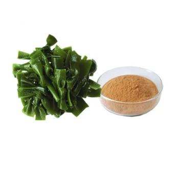 10:1 macrocystis Pyrifera extract powder, Kelp seaweed extract wakame kelp extract Organic ECOCERT Certification 100g
10:1 macrocystis Pyrifera extract powder, Kelp seaweed extract wakame kelp extract Organic ECOCERT Certification 100g