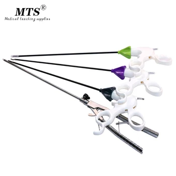 Laparoscopic Training Simulator Needle Clamp Separating Forceps Scissors Slot Holes Grasper Four Specifications Medical Model
Laparoscopic Training Simulator Needle Clamp Separating Forceps Scissors Slot Holes Grasper Four Specifications Medical Model