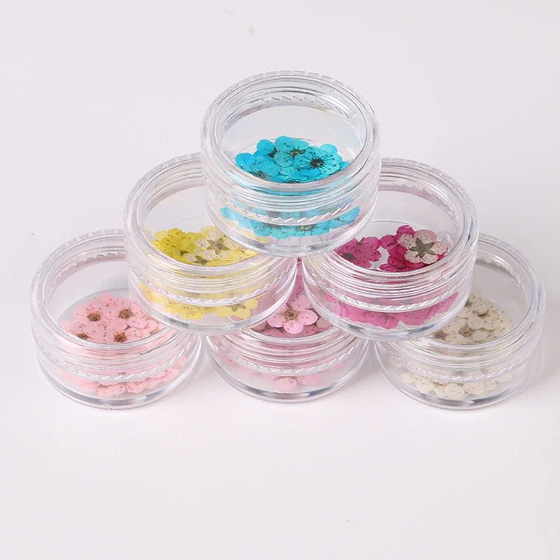 1 Box Dried Flowers Nail Art Decorations Colorful Natural Dry Flower 3d Beauty Real Floral Stickers UV Gel Manicure Decals
1 Box Dried Flowers Nail Art Decorations Colorful Natural Dry Flower 3d Beauty Real Floral Stickers UV Gel Manicure Decals