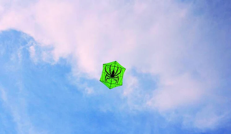 细节11