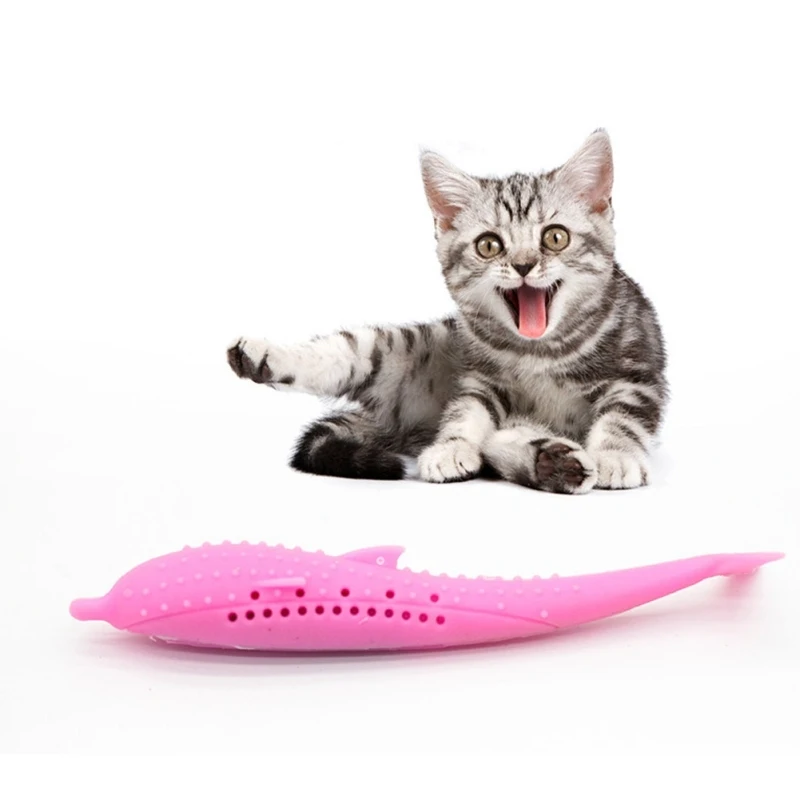 Fish Shape Cat Toothbrush Molar Stick Catnip Flavor Soft Silicone Mint Toothbrush Pet Supplies for Cat Teeth Cleaning Chew Toys
Fish Shape Cat Toothbrush Molar Stick Catnip Flavor Soft Silicone Mint Toothbrush Pet Supplies for Cat Teeth Cleaning Chew Toys