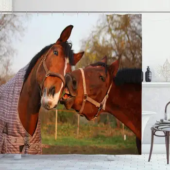 Shower Curtain Set with Hooks 72x78 Enemy Stripe Two Kick Bay Horses Breed Playing Mare Skin Horse Each Friend Nature Design
Shower Curtain Set with Hooks 72x78 Enemy Stripe Two Kick Bay Horses Breed Playing Mare Skin Horse Each Friend Nature Design
