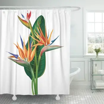 Decorative Shower Curtain Colorful Tropic Strelitzia Reginae Bird of Paradise Flower Green Jungle Exotic 72"x78" Waterproof
Decorative Shower Curtain Colorful Tropic Strelitzia Reginae Bird of Paradise Flower Green Jungle Exotic 72"x78" Waterproof
