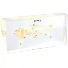 Middle school student children showing fishbone structure fish bone specimen resin amber embedded fish bone display
Middle school student children showing fishbone structure fish bone specimen resin amber embedded fish bone display