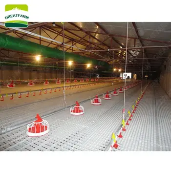 10 sets Sample Factory hot sale floor tile plastic floor mat hen house plastic chicken house floor Poultry floor plastic slat
10 sets Sample Factory hot sale floor tile plastic floor mat hen house plastic chicken house floor Poultry floor plastic slat